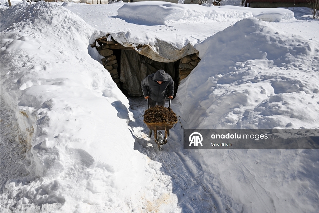 Li Wanê li taxên ku stûriya berfê ji 2 metreyan derbas bûye zivistan dijwar derbas dibe