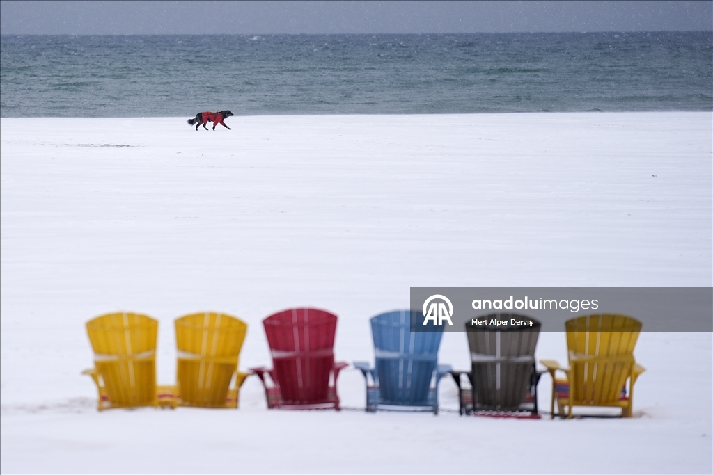 Повседневная жизнь в Торонто