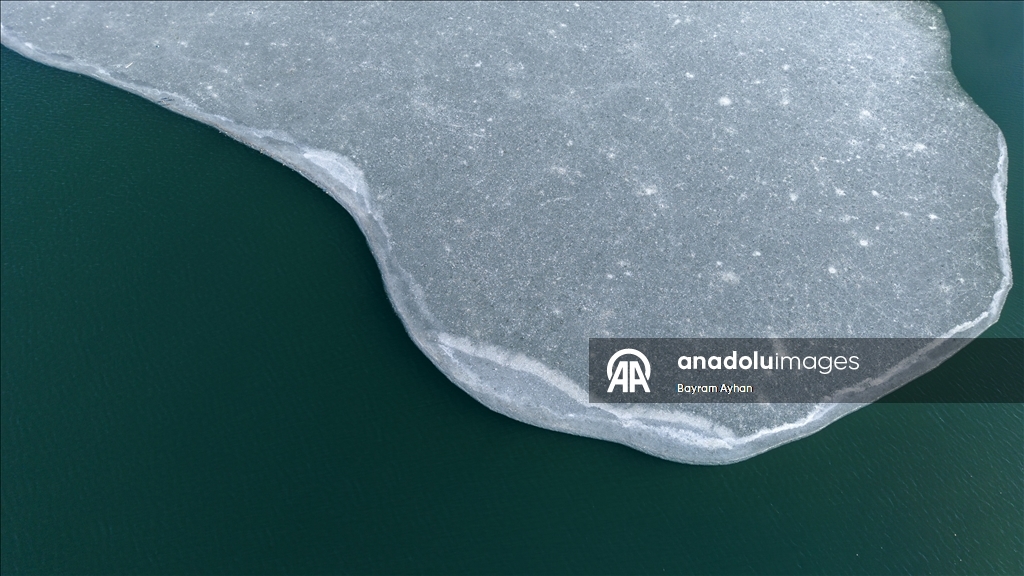 Замерзание прудов в турецком Батталгази осложнило кормление птиц