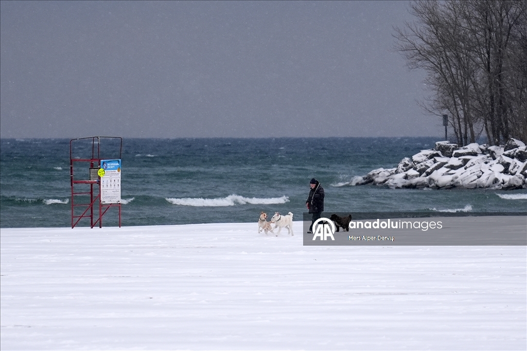 Повседневная жизнь в Торонто