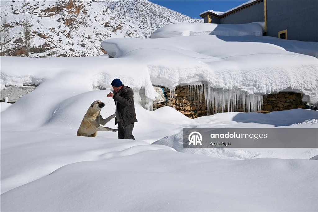 Li Wanê li taxên ku stûriya berfê ji 2 metreyan derbas bûye zivistan dijwar derbas dibe