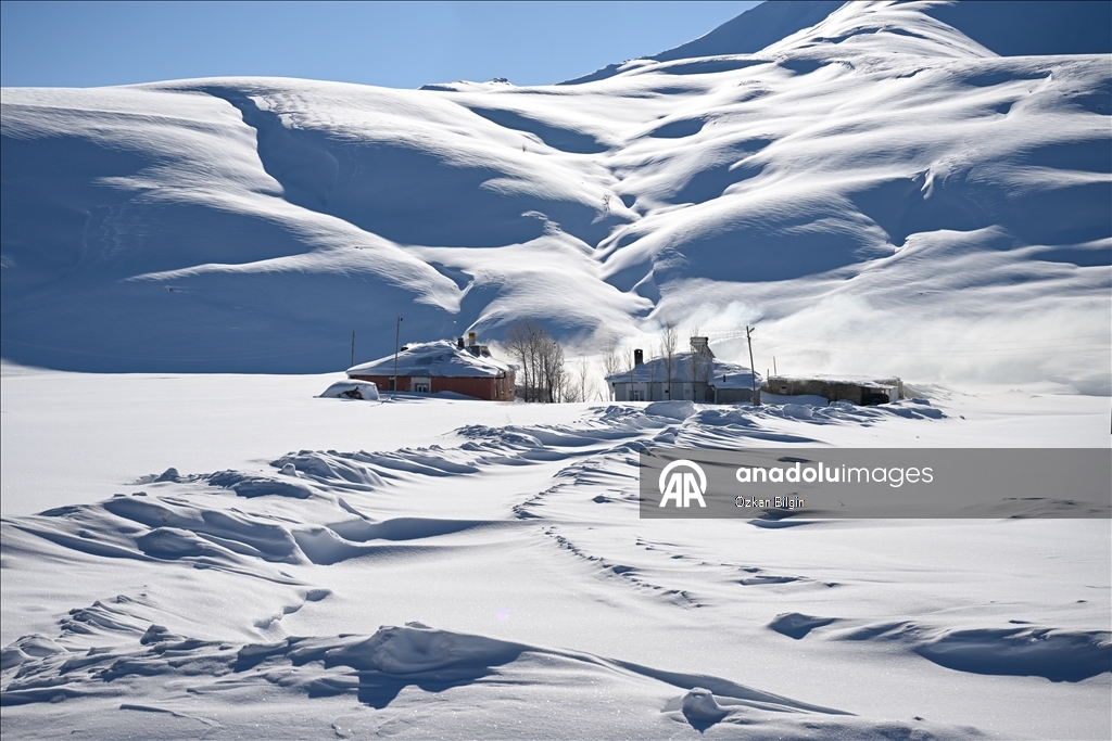 Li Wanê li taxên ku stûriya berfê ji 2 metreyan derbas bûye zivistan dijwar derbas dibe