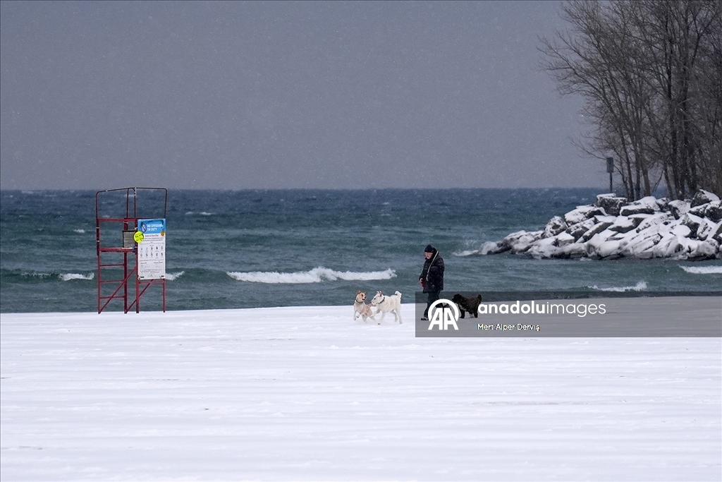 Toronto'da günlük yaşam