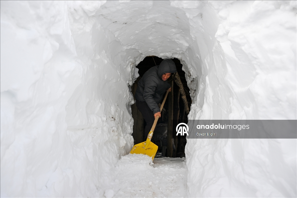 Li Wanê li taxên ku stûriya berfê ji 2 metreyan derbas bûye zivistan dijwar derbas dibe