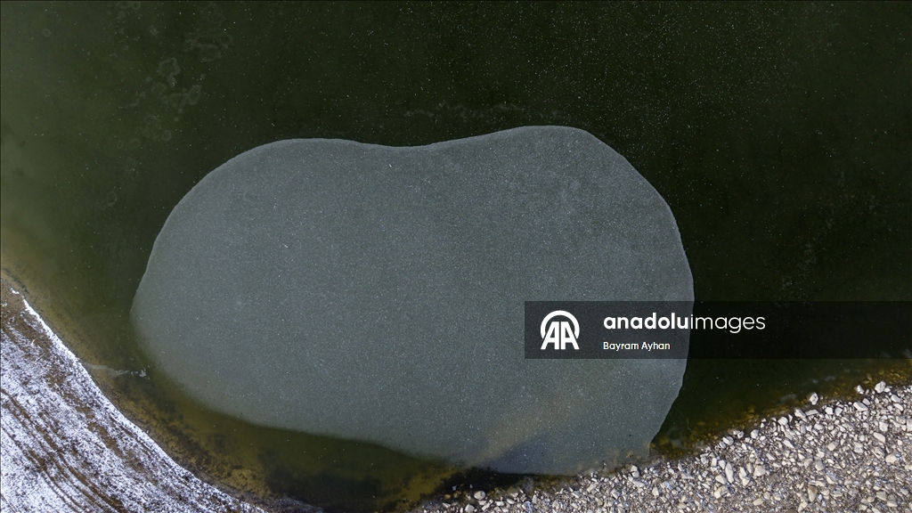 Замерзание прудов в турецком Батталгази осложнило кормление птиц