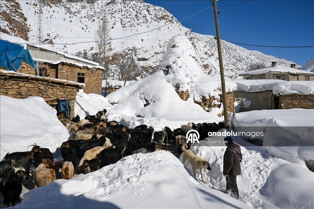 Li Wanê li taxên ku stûriya berfê ji 2 metreyan derbas bûye zivistan dijwar derbas dibe