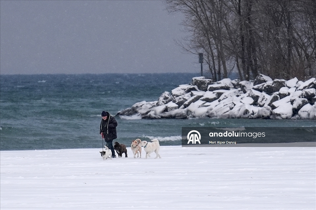 Toronto'da günlük yaşam