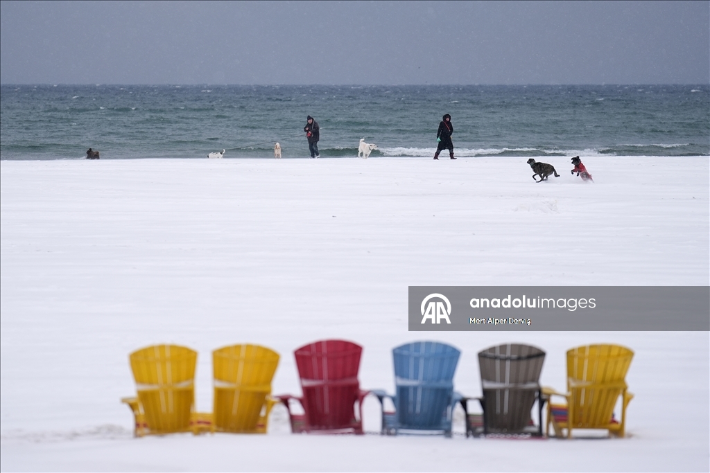 Повседневная жизнь в Торонто