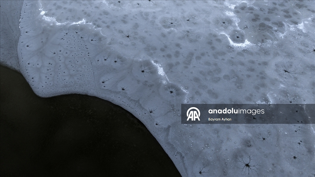 Battalgazi’de göletler buz tuttu, kuşların beslenmesi zorlaştı