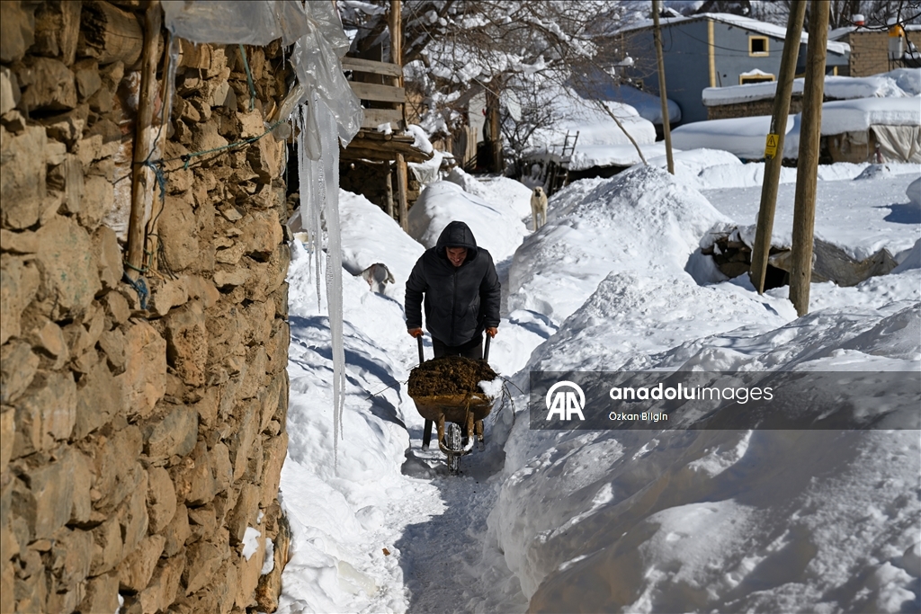 Li Wanê li taxên ku stûriya berfê ji 2 metreyan derbas bûye zivistan dijwar derbas dibe