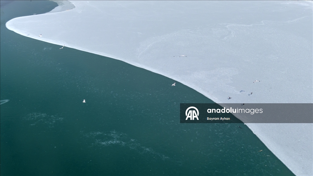 Замерзание прудов в турецком Батталгази осложнило кормление птиц