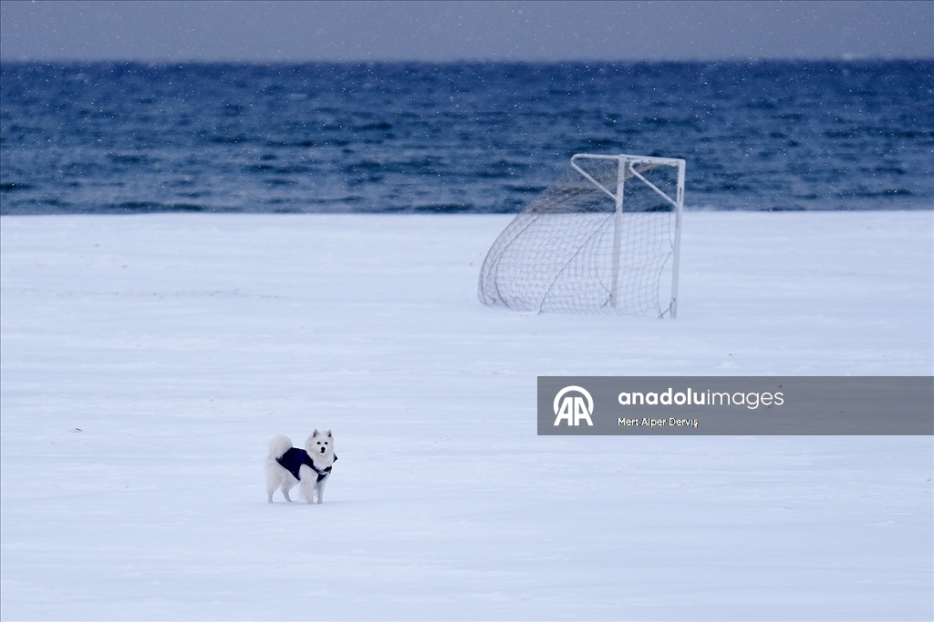 Toronto'da günlük yaşam