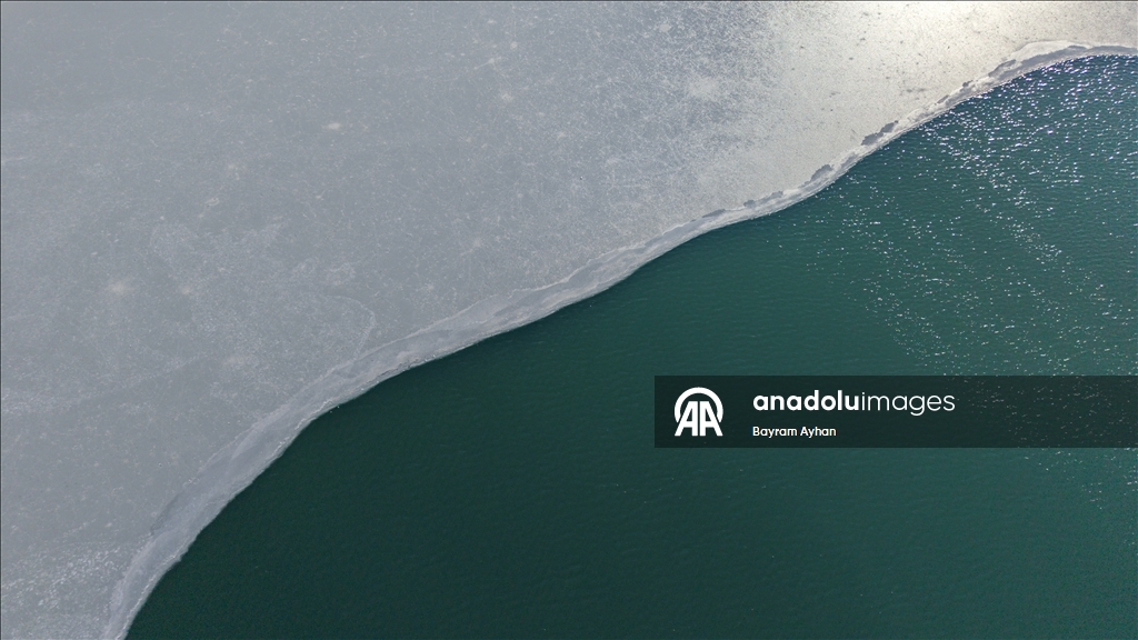 Замерзание прудов в турецком Батталгази осложнило кормление птиц