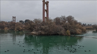 Suriye'nin Deyrizor ilinde 15 yıldır hedef alınan köprüler, halkın yaşamını durma noktasına getirdi 