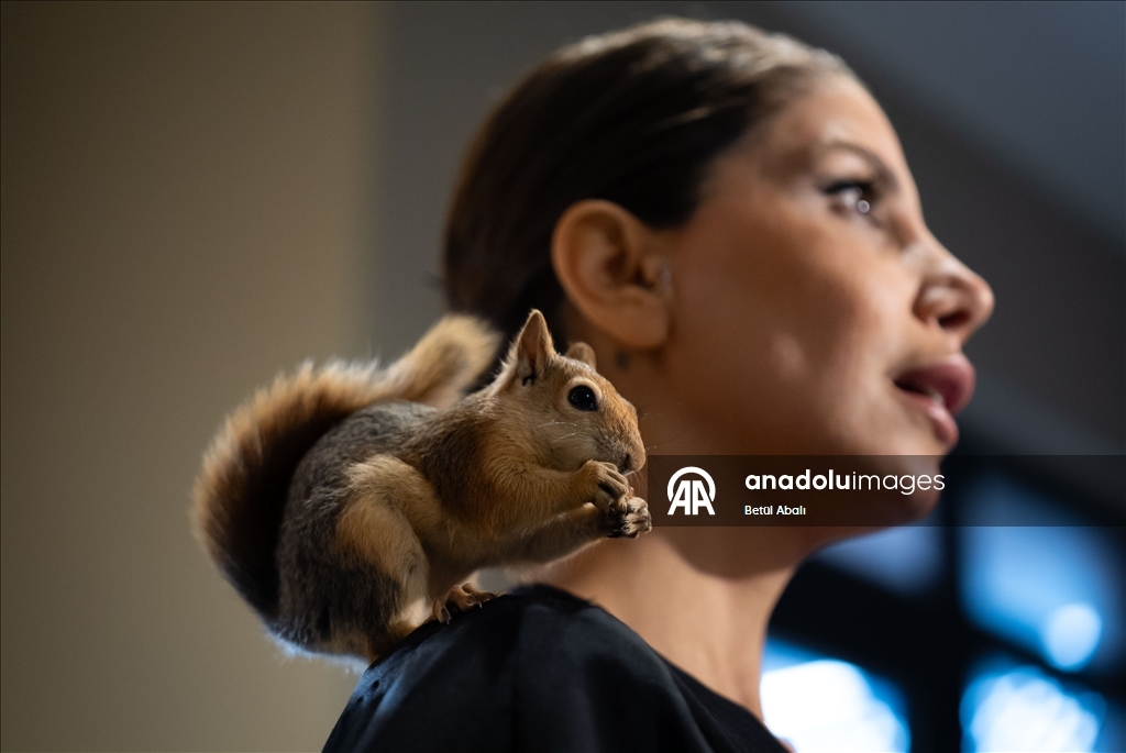 Vjeverica Yoda priprema se za život u divljini