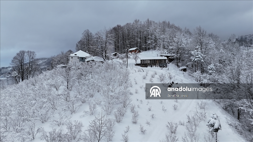 Düzce'deki Yanık Yaylası ve çevresindeki kar manzarası dronla görüntülendi
