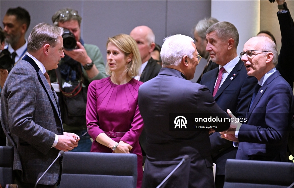 В Брюсселе завершился неформальный саммит лидеров стран ЕС по Гренландии