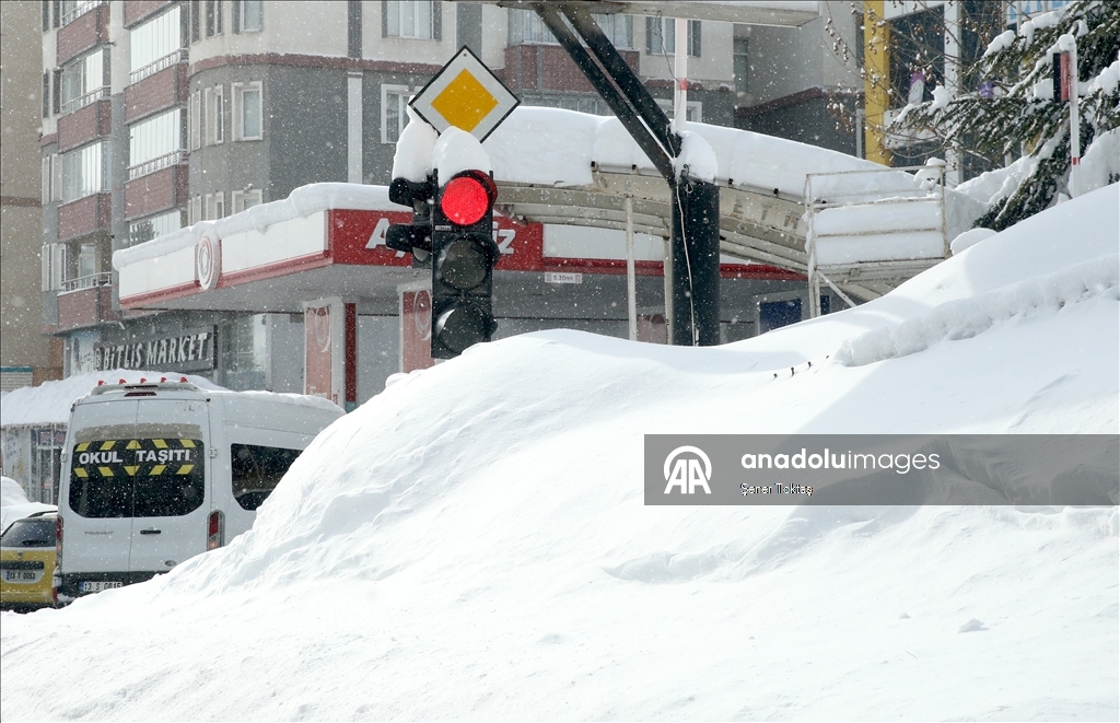 Bitlis'te kar yağışı etkili oldu