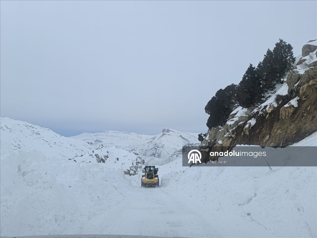 Şırnak'ta kar yağışı