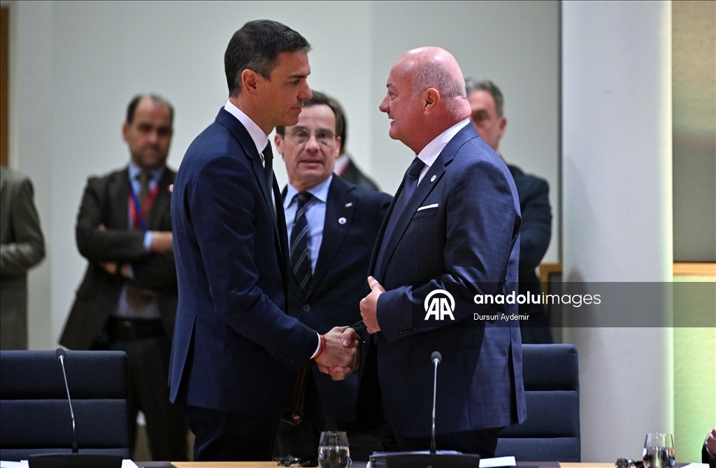 В Брюсселе завершился неформальный саммит лидеров стран ЕС по Гренландии