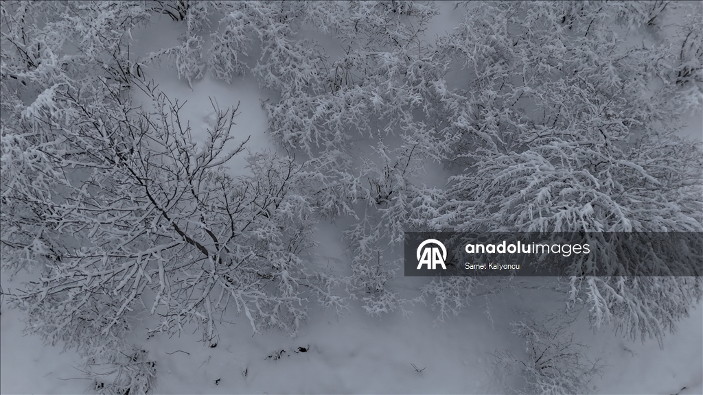 Düzce'deki Yanık Yaylası ve çevresindeki kar manzarası dronla görüntülendi