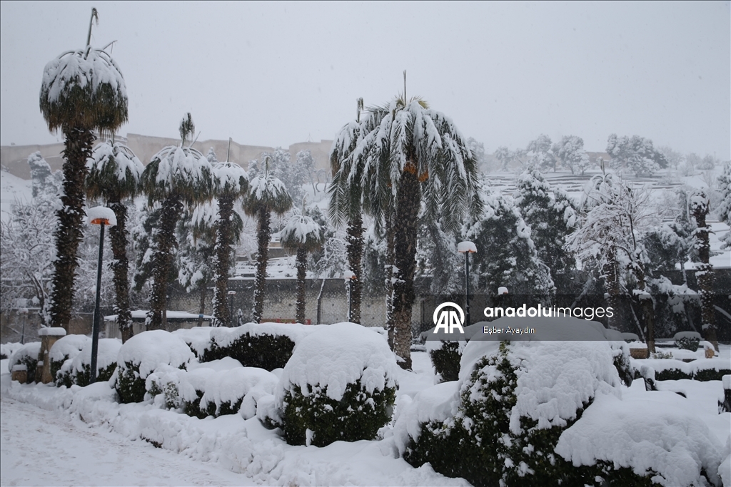 Şanlıurfa'da kar yağışı etkisini sürdürüyor