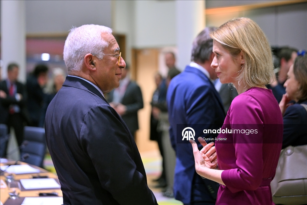 В Брюсселе завершился неформальный саммит лидеров стран ЕС по Гренландии