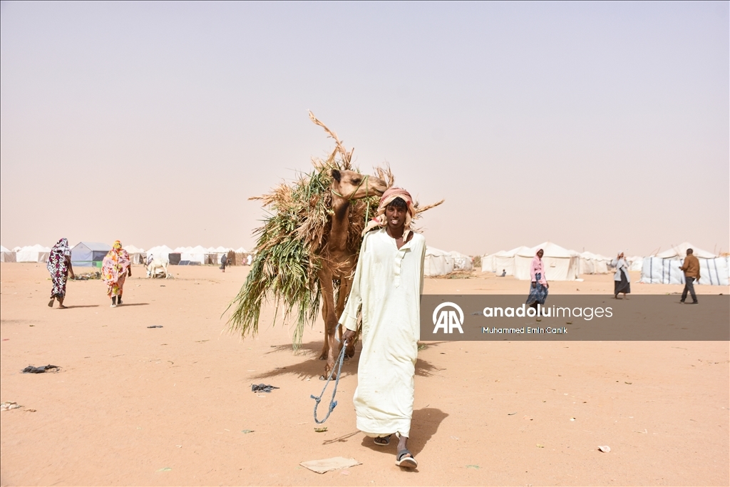 Sudan’daki El-Affad Mülteci Kampı, acılarını yüklenip yerinden edilen binlerce kişiyi barındırıyor