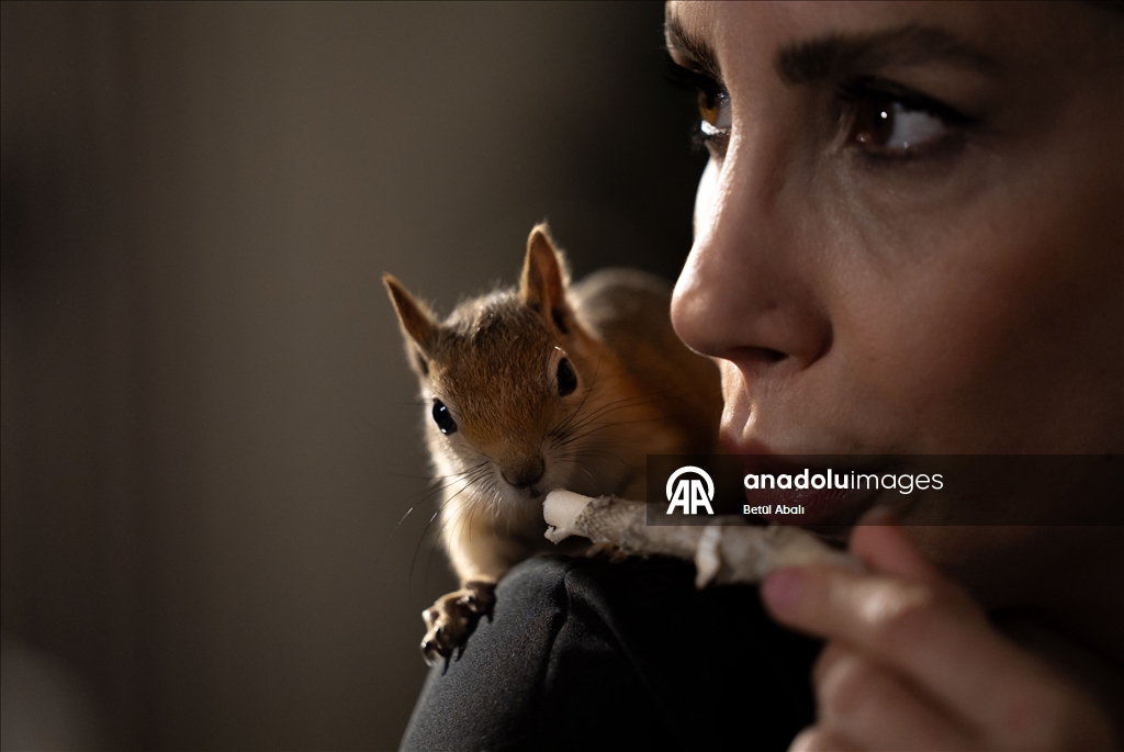 Vjeverica Yoda priprema se za život u divljini