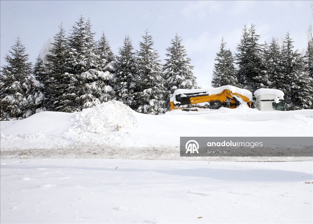 Bitlis'te kar yağışı etkili oldu