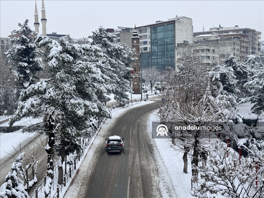 Siirt'te kar yağışı