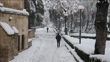 Şanlıurfa'daki tarihi Balıklıgöl karla beyaza büründü