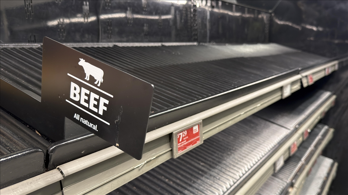 ABD'nin büyük bir kesiminde yoğun kar ve dondurucu soğuk bekleniyor