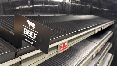 ABD'nin büyük bir kesiminde yoğun kar ve dondurucu soğuk bekleniyor