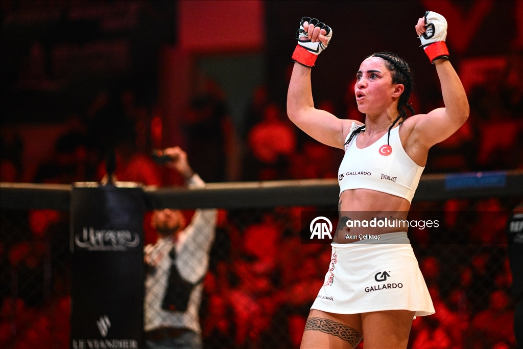 В Анкаре прошел международный турнир по смешанным единоборствам Vendetta Fight Night 49 MMA