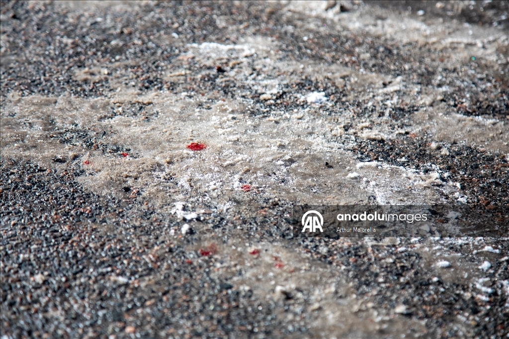 ABD’nin Minneapolis kentinde federal ajan ateşi sonrası protestolar