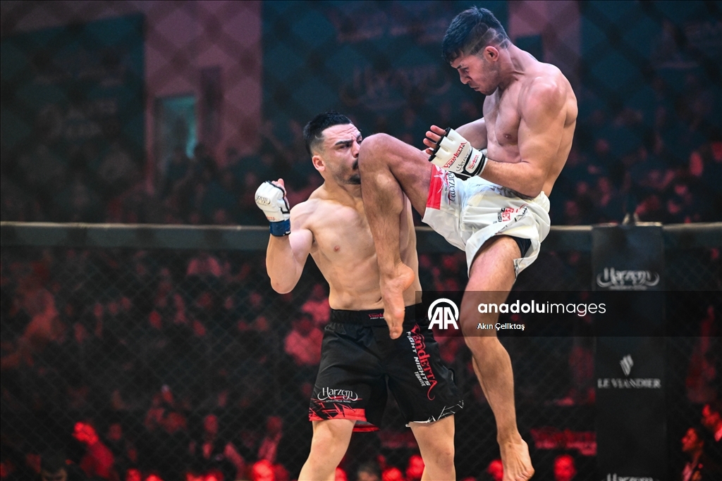 В Анкаре прошел международный турнир по смешанным единоборствам Vendetta Fight Night 49 MMA
