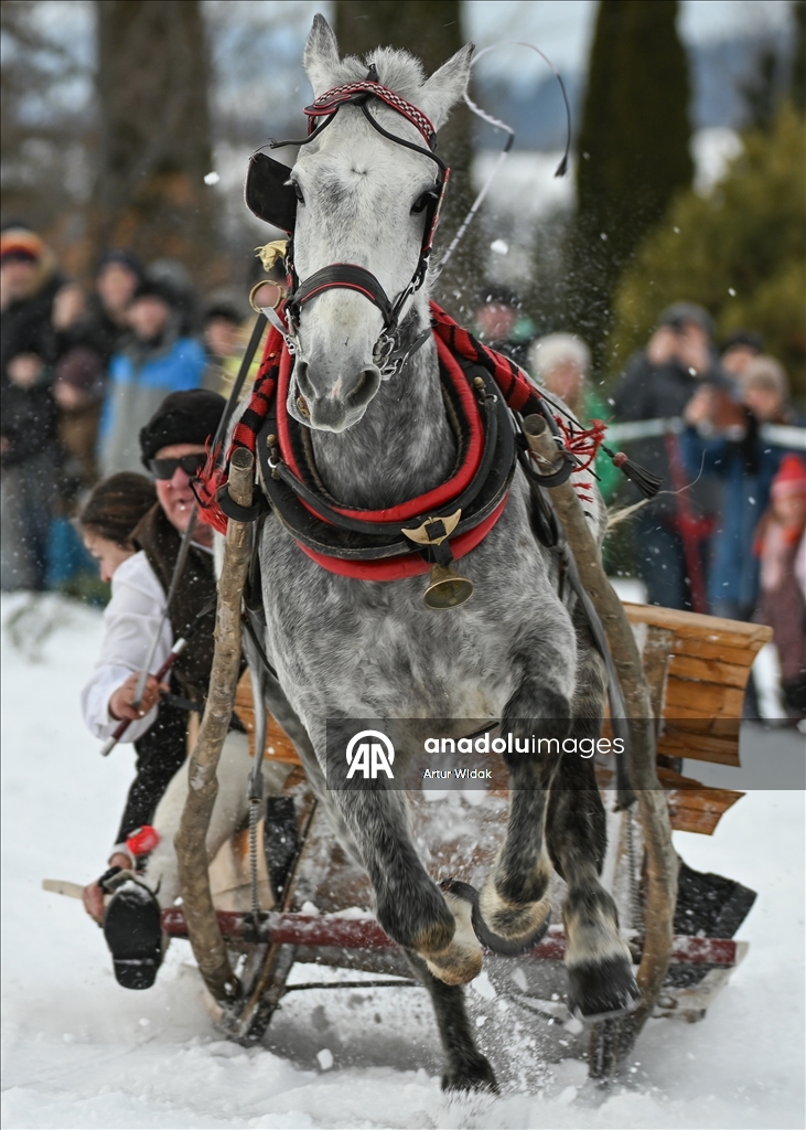 Traditional Kumoterki horse-drawn sleigh race in Zab