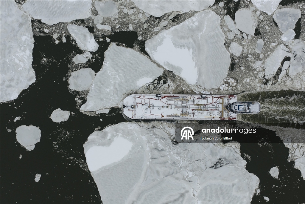 New York’ta dondurucu soğuklar Hudson Nehri’ni kısmen dondurdu 