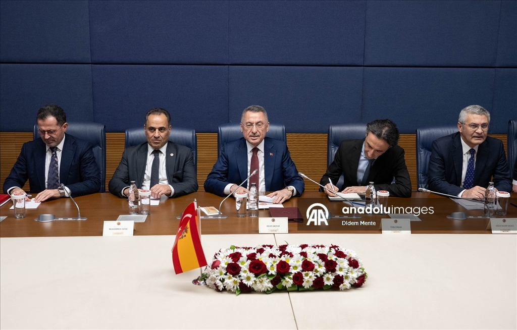 TBMM Dışişleri Komisyonu Başkanı Oktay, İspanya Temsilciler Meclisi Başkanı Socias ile görüştü