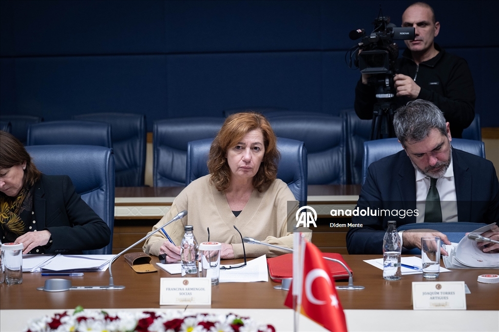 TBMM Dışişleri Komisyonu Başkanı Oktay, İspanya Temsilciler Meclisi Başkanı Socias ile görüştü