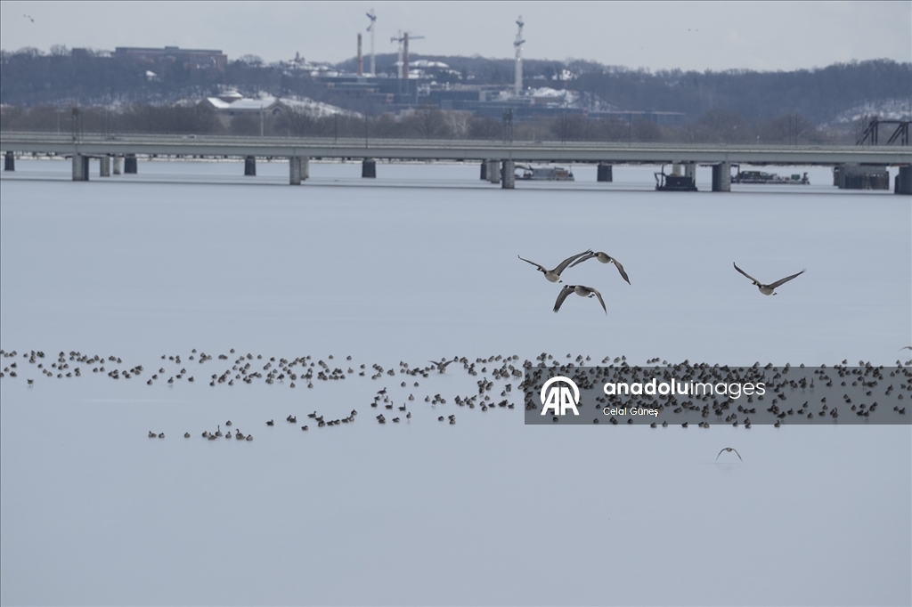 Washington'da şiddetli kar yağışı kenti beyaza bürüdü
