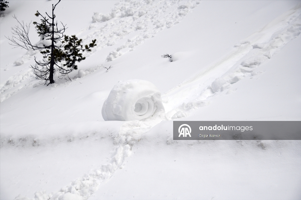 Doğada ender oluşan kar ruloları Ilgaz Dağı'nda görüntülendi