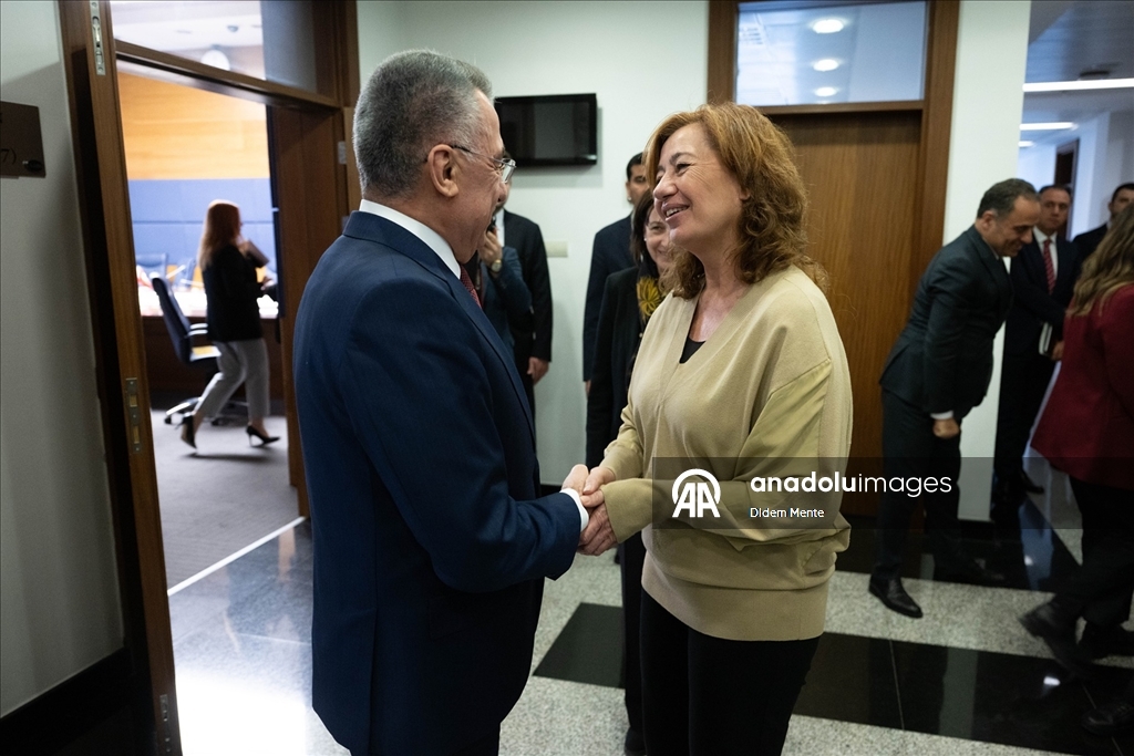 TBMM Dışişleri Komisyonu Başkanı Oktay, İspanya Temsilciler Meclisi Başkanı Socias ile görüştü