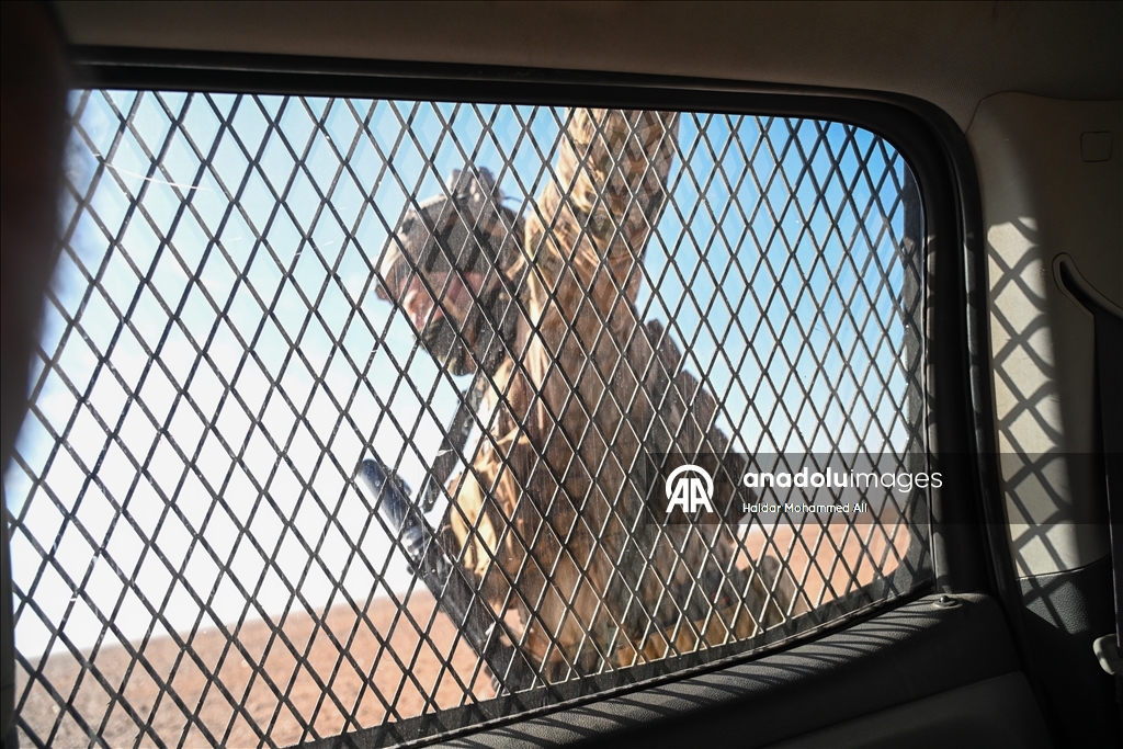 الأنبار.. قوات الحشد الشعبي العراقية تُجري تدريبات بالقرب من الحدود السورية