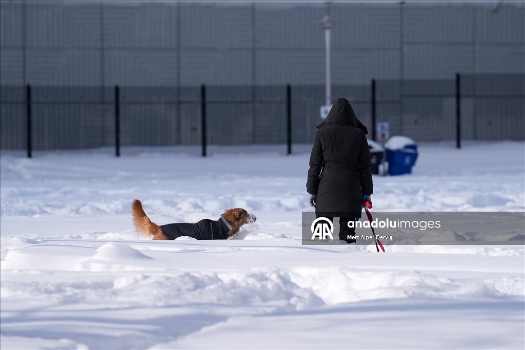 Toronto'da kar fırtınası etkili oldu