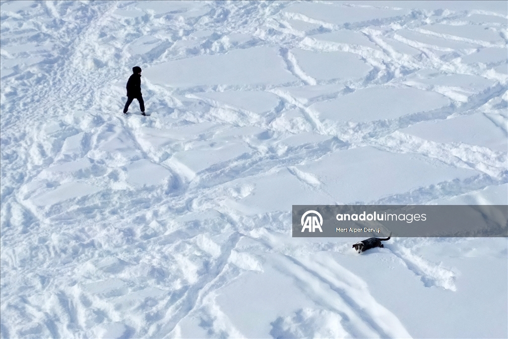 Toronto'da kar fırtınası etkili oldu