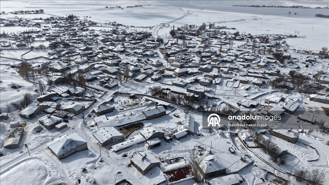 Kışın zorlu geçtiği Ağrı'da hayvanların bakımı da güçlükle yapılıyor