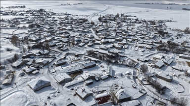 Kışın zorlu geçtiği Ağrı'da hayvanların bakımı da güçlükle yapılıyor