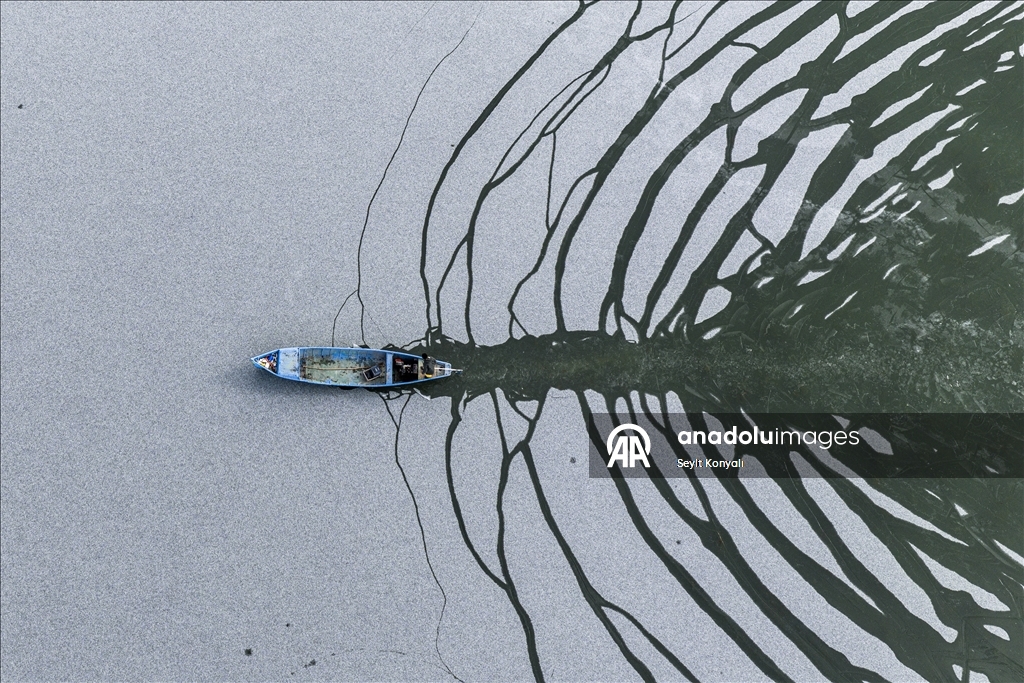 Masîgir li ser Gola Beyşehirê di nava cemedê da masî digirin